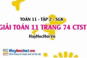 Giải Toán 11 trang 74 tập 2 Chân trời sáng tạo